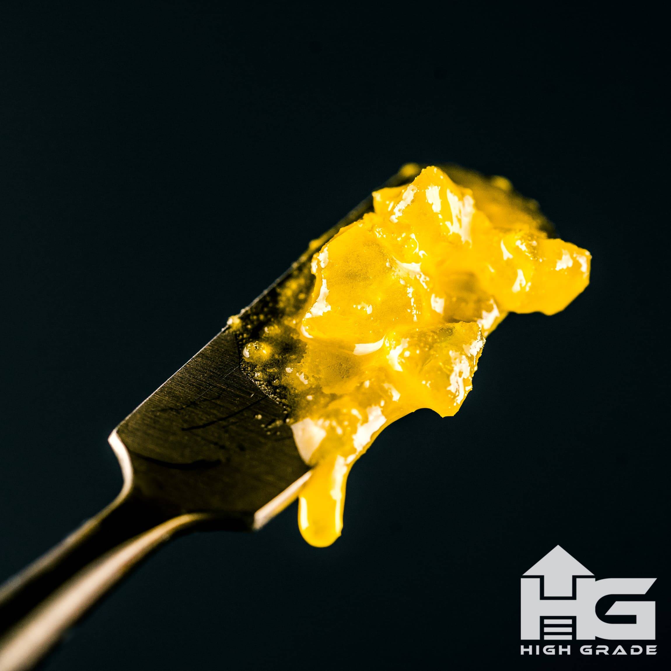 HG SAUCE EA1